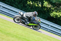 PJ-Motorsport-Photography-2020;anglesey;brands-hatch;cadwell-park;croft;donington-park;enduro-digital-images;event-digital-images;eventdigitalimages;mallory;no-limits;oulton-park;peter-wileman-photography;racing-digital-images;silverstone;snetterton;trackday-digital-images;trackday-photos;vmcc-banbury-run;welsh-2-day-enduro
